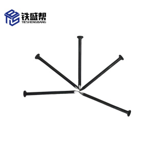 铁盛帮 铁钉70 件