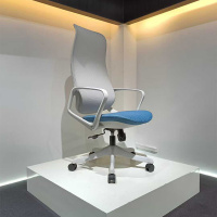 匡大办公椅高级电脑椅人体工学办公椅T-248