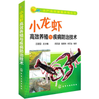 音像小龙虾高效养殖与疾病防治技术周凤建,强晓刚,单宏业