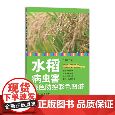 水稻病虫害绿色防控彩色图谱 26440-3 吕仲贤 文字与图片相结合 轻松识别病虫 找准绿控技术 种出优质水稻 农
