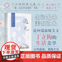 遇见(丁立梅经典文集03)