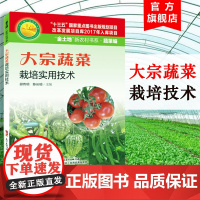 大宗蔬菜栽培实用技术 辣椒 番茄 青瓜 茄子 菜豆 大棚蔬菜种植技术 蔬菜病虫害图谱与防治 农业技术 农业种植技术大全书