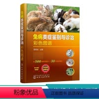 [正版]兔病类症鉴别与诊治彩色图谱 兔病防治及类似疾病鉴别综合工具书 兔子常见传染病鉴别书籍 兽医服务书籍 养兔专业工具