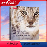 [正版]世界猫科动物中国国家地理全景猫盟百科全书珍惜哺乳动物猫科动物种类大全生物图鉴书籍神秘动物大猫咪图书集DL