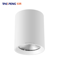 韬鹏 照明LED筒灯 50W 个