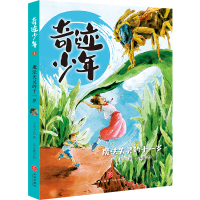 音像魔法失灵的十一岁/奇迹少年王天宁