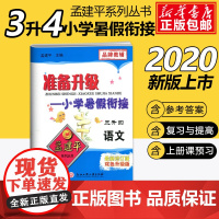 2020孟建平准备升级小学暑假衔接三升四语文3升4暑假衔接教材小学生暑假作业本练习册暑假培训辅导资料书三年级升四年级