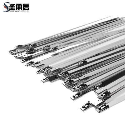 圣承启 金属扎带 12*500mm根