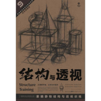 音像素描静物结构与透视训练蒋晓玲 张云飞
