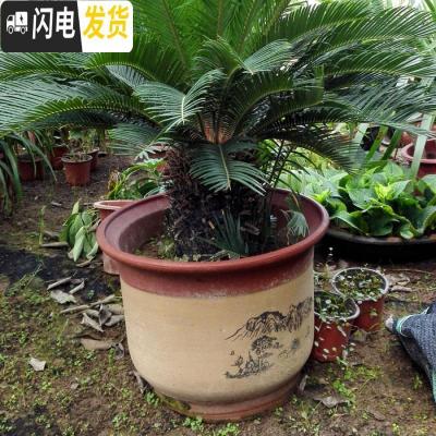 三维工匠花盆紫砂陶瓷花盆 兰花盆特大号红陶大码陶瓷盆 口径19+22+25+28+32五个一套 大花盆容器