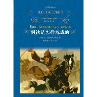正版新书]钢铁是怎样炼成的(苏)尼·奥斯特洛夫斯基 著 曹缦西,王