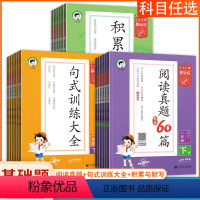 阅读+句式+积累[下册 3本] 小学一年级 [正版]小儿郎5.3曲一线2024版小学语文句式训练大全一二三四五六年级上下