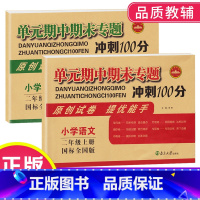 [正版]单元期中期末专题冲刺100分 二年级语文数学上册2本全套 国标全国版 含参考答案 小学2年级上册试卷精选原创试