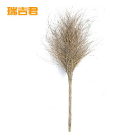 瑞吉君 竹扫把 大号 把