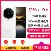 vivo X100s Pro 白月光 16GB+512GB 蓝晶×天玑9300+ 蔡司超级长焦 5G 拍照 手机