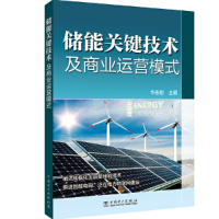 音像储能关键技术及商业运营模式华志刚