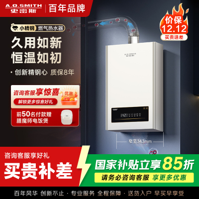 AO史密斯新品小体积16升精钢燃气热水器 JSQ31-EC3 负压燃烧更安全 精控恒温 家用持久恒温大水量