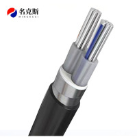 名克斯 0.6/1KV阻燃铝芯电缆ZR-YJLV22 2*25m㎡ 米