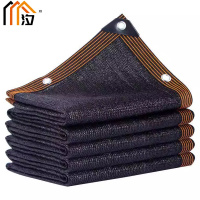 汐 太阳网10米张