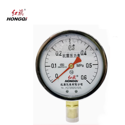 红旗 耐震压力表定制检测款 YTN100 0-0.6MPA 块