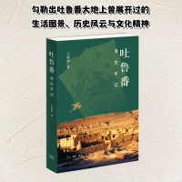 正版新书]吐鲁番考古手记王炳华 著9787108077806