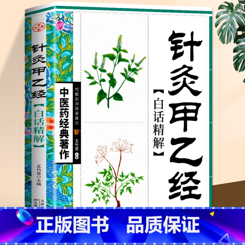 [正版] 针灸甲乙经白话精解 黄帝内经十二经脉揭秘与应用基础理论入门 中医养生四季调理身体保健脏腑经络脉诊理论针灸经络