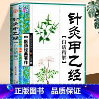 [正版] 针灸甲乙经白话精解 黄帝内经十二经脉揭秘与应用基础理论入门 中医养生四季调理身体保健脏腑经络脉诊理论针灸经络