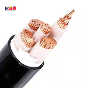 常顺鑫 低压铜芯电缆ZC-YJV4×120+1×70 米