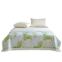 Z.M.N.(法国啄木鸟)沐光棉系列里外全棉夏凉被1.8米-特维ZAB-0014