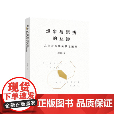 想象与思辨的互渗 文学与哲学关系之阐释 颜翔林著 人民出版社