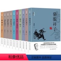 老舍精品作品集(全10册) [正版]老舍经典作品全集10册 骆驼祥子茶馆牛天赐传济南的冬天正红旗下我这一辈子猫城记二马四