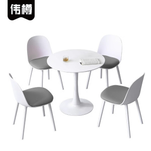 伟樽接待洽谈桌一桌四椅800*800*750mm套