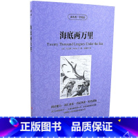[正版] 海底两万里 读名著学英语 中英对照双语书 增强阅读能力强化词汇巩固语法训练短语 中小学生中英文双语英汉对照 美