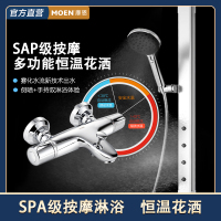摩恩(MOEN)摩恩德纳多功能沉浸式淋浴恒温花洒喷雾花洒淋浴套装SPA级按摩