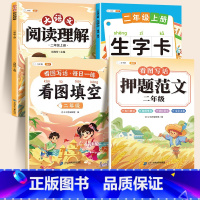 ❤️[大部分家长选 ]押题范文+看图填空+阅读理解+生字组词 小学二年级 [正版]看图写话二年级一年级押题范文大全上册人
