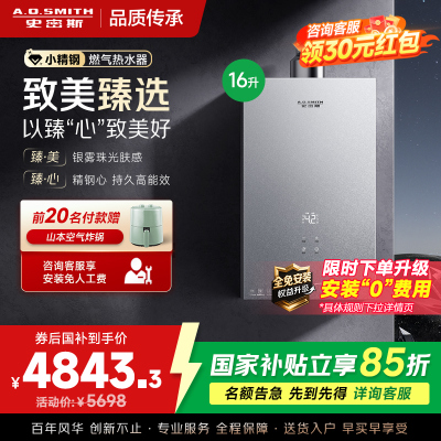 AO史密斯新品小体积16升精钢燃气热水器[小精钢EC5]静音 持久恒温 天然气 JSQ31-EC5