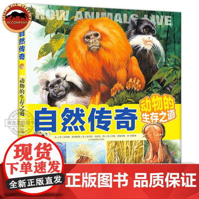 自然传奇 动物的生存之道 动物的智慧和行为大百科全书 6-12岁儿童科普书 揭秘生命的奥秘 走进大自然 动物世界 动物生
