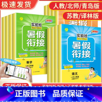 数学[人教版] 小学二年级 [正版]实验班提优训练暑假衔接一升二升三年级升四五六年级下册上册语文数学英语全套人教版北师苏