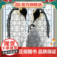 企鹅拼图