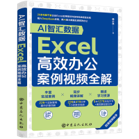 正版新书]AI智汇数据:EXCEL高效办公案例视频全解韩小良 著9787