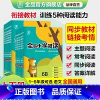 B版 小学六年级 [正版]2024适用 小学阅读 语文一二三四五六年级上下册AB人教版小学123456年级语文阅读理解专