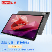 联想(Lenovo)启天K12 TB240FC 12.7英寸平板电脑 8G+256G WIFI版 娱乐学习 家用办公 企业政企采购 全国联保 灰色
