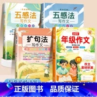 [4本]五感法2本+扩句法+同步年级作文4上 小学通用 [正版]抖音同款 2023新版五感法写作文三到六年级同步作文小学