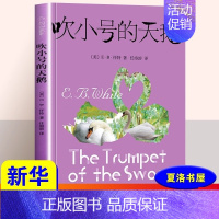 [正版]吹小号的天鹅 怀特著任溶溶译8-9-10-11岁小学生三年级四年级五年级课外书非注音版儿童故事书籍 凤凰书店