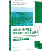 音像波流场中悬浮隧道模型实验技术与实例研究丁浩,李科,程亮