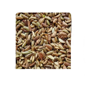 诚智旺 紫穗槐带壳种子 净籽/千克