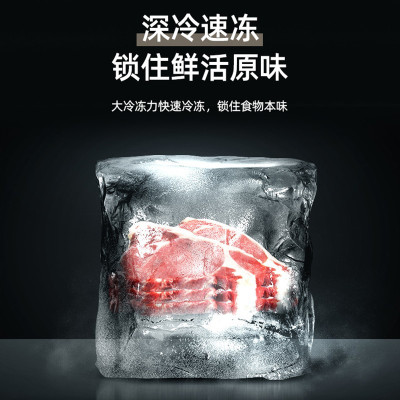 荣事达(Royalstar)四门三温法式冰箱冷藏冷冻软冷冻家用大容量多门电冰箱节能冰箱BCD-301M9RGZ深空金