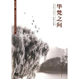 正版新书]华梵之间(首师大哲学学术丛书)程恭让9787500467465