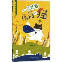 正版新书]一只想做强盗的猫安武林9787501613106