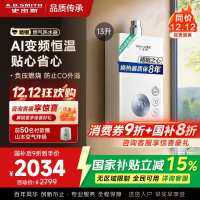 AO史密斯佳尼特13升燃气热水器佳尼特 不锈钢换热器8年包换 精控恒温 抗风防冻JSQ26-TC1